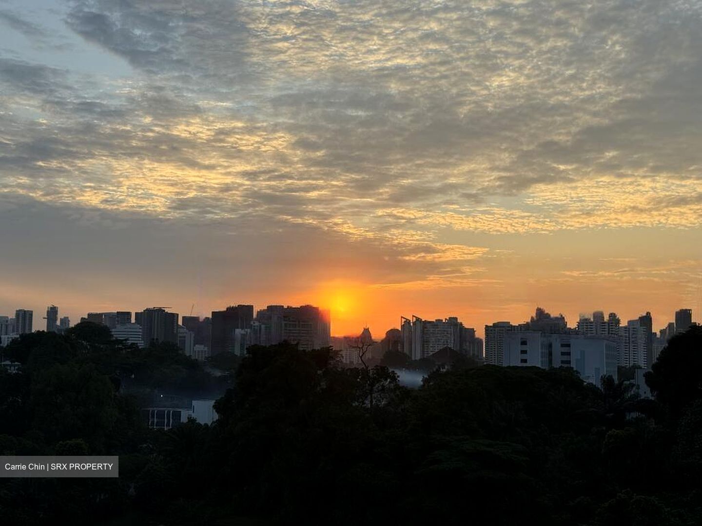 Tanglin Halt Road (D3), Condominium #482746851